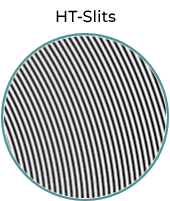 brain cellular organization 1