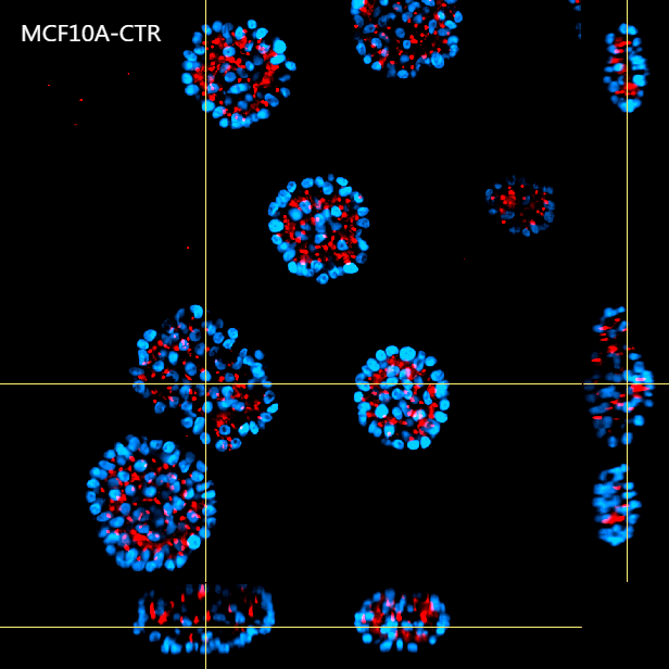 High-Content Imaging Banner 4