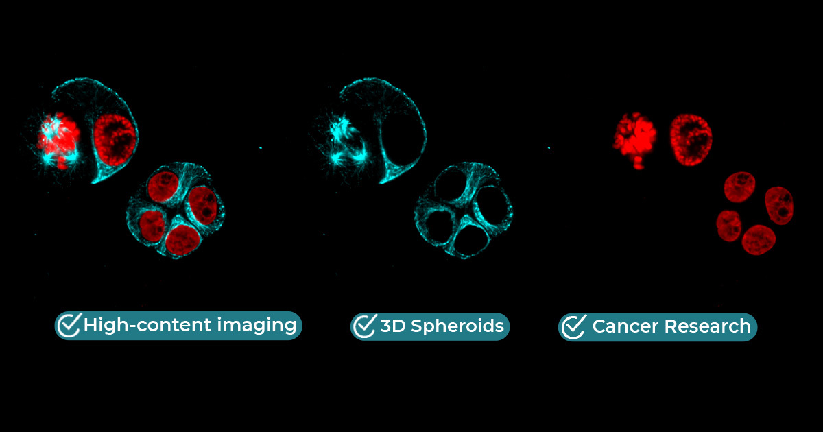 High-Content Imaging Banner