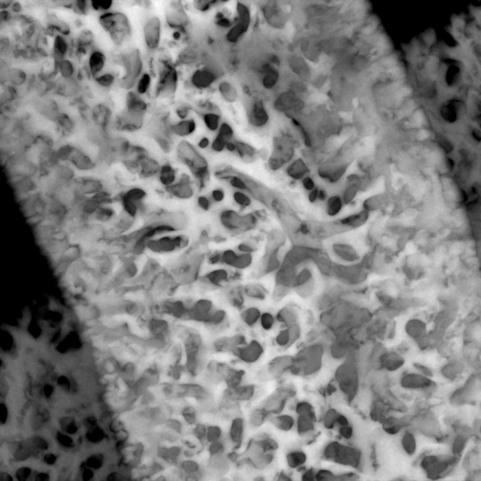 Engineered nano-fibers and green chemistry applications